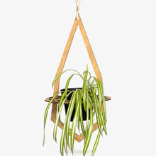 Load image into Gallery viewer, GEODE Plant Hanger for 4" Pot