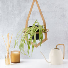 Load image into Gallery viewer, GEODE Plant Hanger for 4" Pot