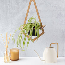 Load image into Gallery viewer, JEWEL Plant Hanger for 4" Pot