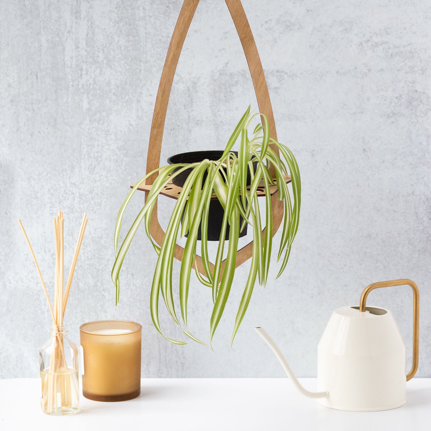 lotus hanging plant LOTUS Plant Hanger for 4